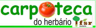 Carpoteca do Herbário IFSR